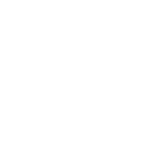 Sy