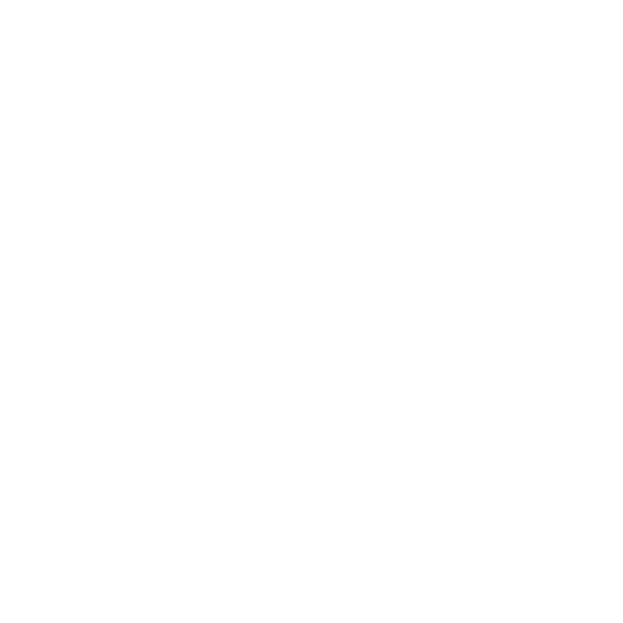 Sy